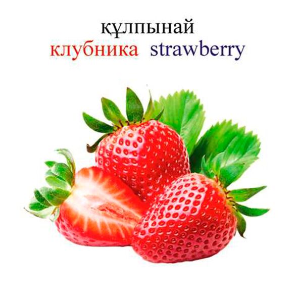 Ферро лесбиянка жұмыс істемейді