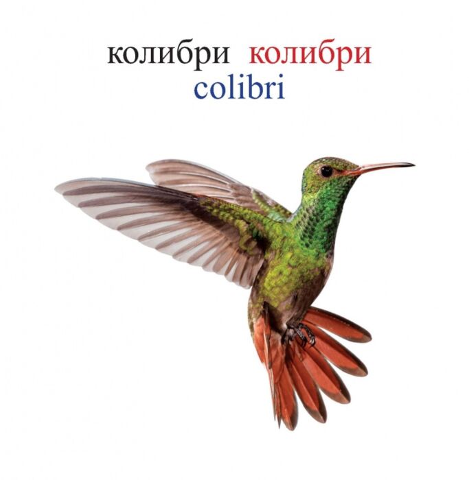 Белдіксіз секс видеосы