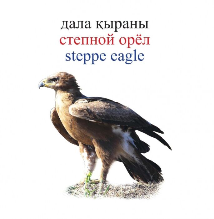 Нағыз секс туралы фильм онлайн