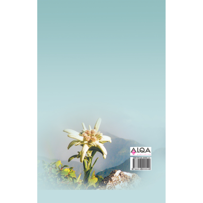 Аға порнографияны трафик