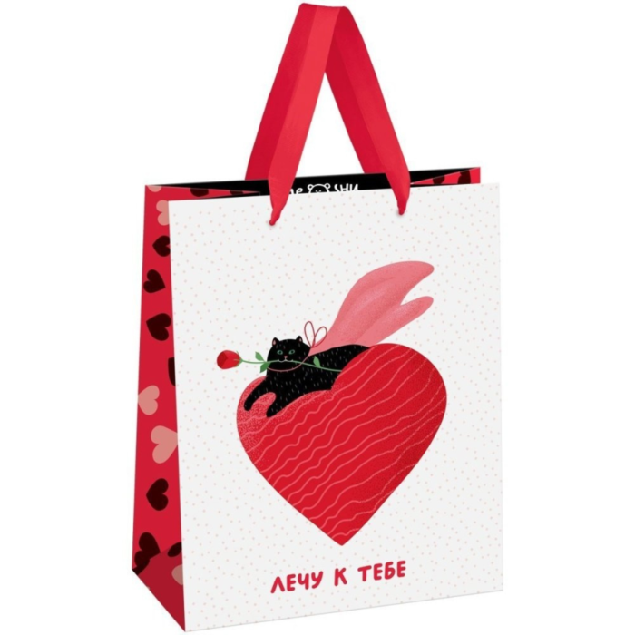 Үйдегі секс туралы видео