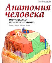 Гослинг Д. А.: Анатомия человека