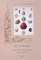 Кювье Ж.-Л.: Царство животных. Моллюски