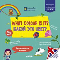 Мой первый английский. What color is it? Какой это цвет?