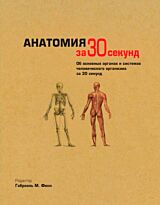 Узнать за 30 секунд. Анатомия за 30 секунд