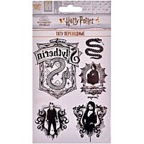 Татуировкасы бар анустың суреті