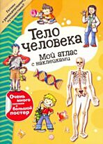 Мой атлас с наклейками. Тело человека