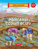 Майсаны созып өсіру.