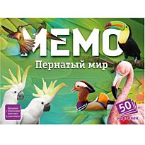 Нескучные игры: Мемо Пернатый мир