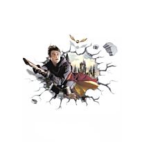 Наклейка интерьерная Гарри Поттер – 1