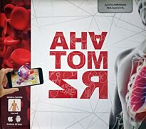 Әли А.: Анатомия