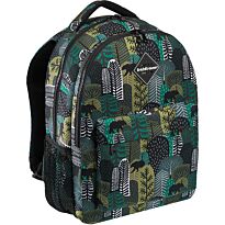 Ученический рюкзак ErichKrause® EasyLine® с двумя отделениями 20L Siberia
