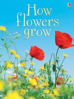 How flowers grow
