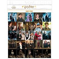Пленочные наклейки 210х275 Гарри Поттер