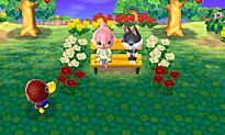 Animal Crossing New Leaf 3DS