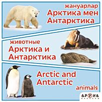 Жануарлар / Животные / Animals. Арктика мен Антарктика