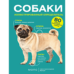 baranovskaya_i_g_sobaki_80_sam_3