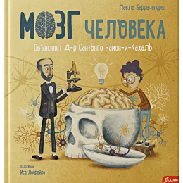 barrecheguren_b_mozg_cheloveka