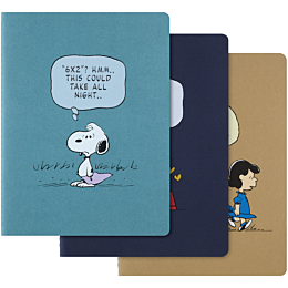 bloknot_le_peanuts_bundle_x3ca