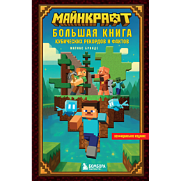 brinde_m_maynkraft_bolshaya_kn_4