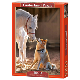 castorland_pazl_unikalnaya_dru