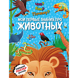 chto_kak_pochemu_moi_pervye_zn