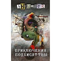 Анонимус: Приключения бодхисаттвы