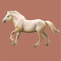 collecta_amerikanskaya_kremova