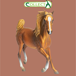collecta_arabskaya_kobyla_zolo