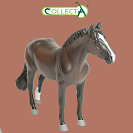 collecta_gnedoy_zherebets_gols