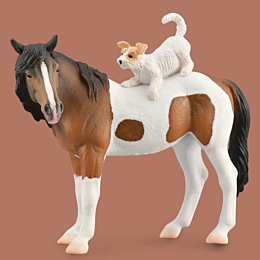 collecta_kobyla_i_terer_xl_5