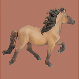collecta_loshad_islandskiy_zhe