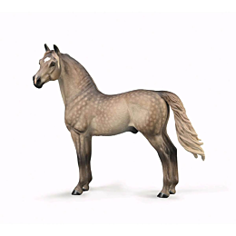 collecta_loshad_morgan_zherebe