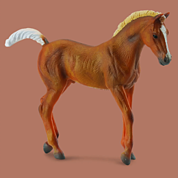 collecta_zherebenok_tennessiys