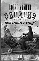 Акунин Б.: Пелагия и красный петух. Детектив