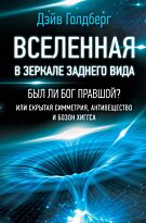 Голдберг Д.: Вселенная в зеркале заднего вида. Был ли Бог правшой? Или скрытая симметрия, антивещество и бозон Хиггса