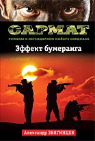 Звягинцев А. Г.: Эффект бумеранга