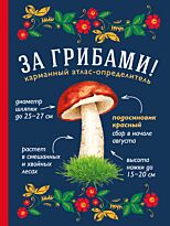 Ильина Т. А.: За грибами. Карманный атлас-определитель