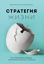 Бирюлин С.: Стратегия жизни. Как спланировать будущее, наполненное смыслом и счастьем