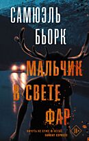 Бьорк С.: Мальчик в свете фар