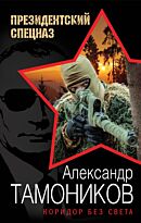 Тамоников А.А.: Коридор без света