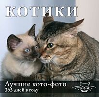Календарь. Котики: Лучшие кото-фото. 365 дней в году