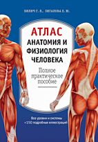 Билич Г. Л., Зигалова Е. Ю.: Атлас. Анатомия и физиология человека: полное практическое пособие. 2-е изд., доп.