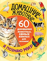 Домашние животные. Я познаю мир!