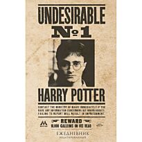 Ежедневник недатированный Гарри Поттер. Нежелательное лицо №1