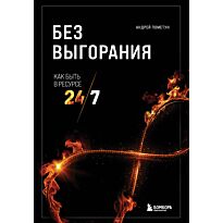 Пометун А. Г.: Без выгорания. Как быть в ресурсе 24/7