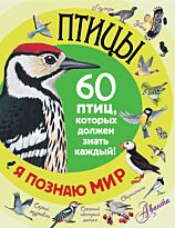 Снегирева Е.: Птицы