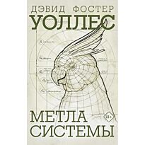 Уоллес Д. Ф.: Метла системы