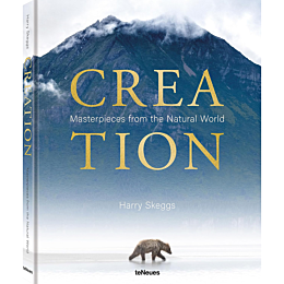 creation_1483685