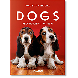 dogs_photographs_19411991